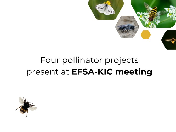 WildPosh and three other pollinator projects present at EFSA-KIC meeting