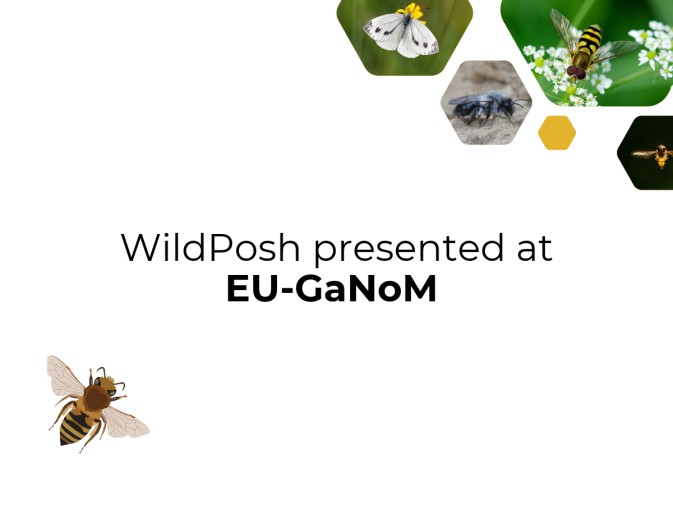 WildPosh presented at EU-GaNoM event in Murcia