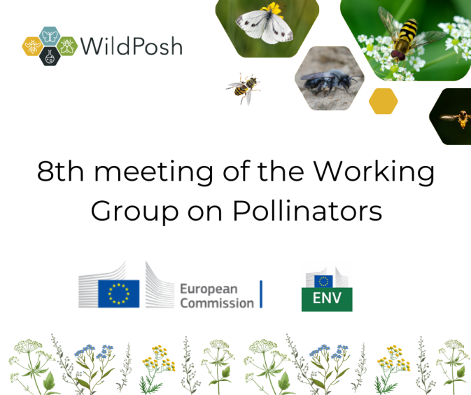 WildPosh at the 8th meeting of the Working Group on Pollinators