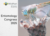Entomology Congress 2025