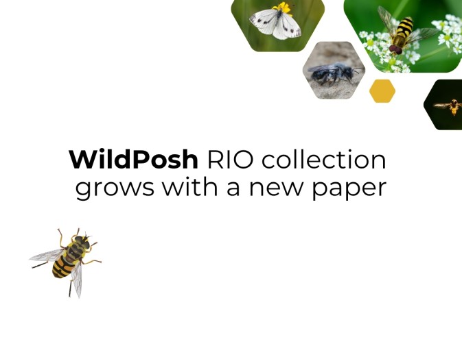 First linked paper in the RIO project collection