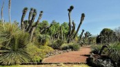 11th Congress of the International Society of Hymenopterists