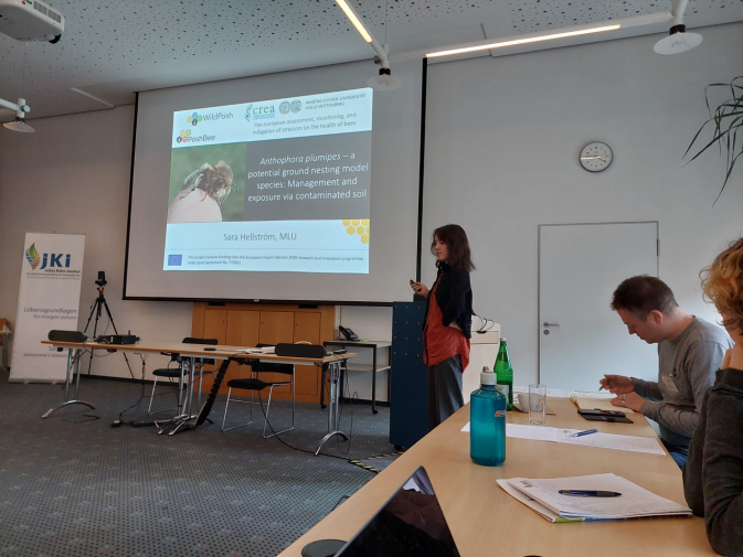 WildPosh’s first public appearance: Insights from the BeesUp symposium