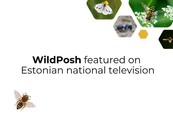 WildPosh featured on Еstonian popular science programme Osoon