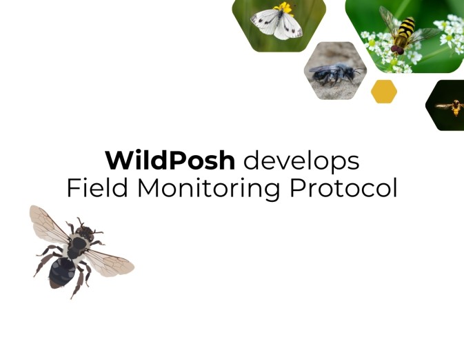 How is WildPosh monitoring pesticide exposure in the field?