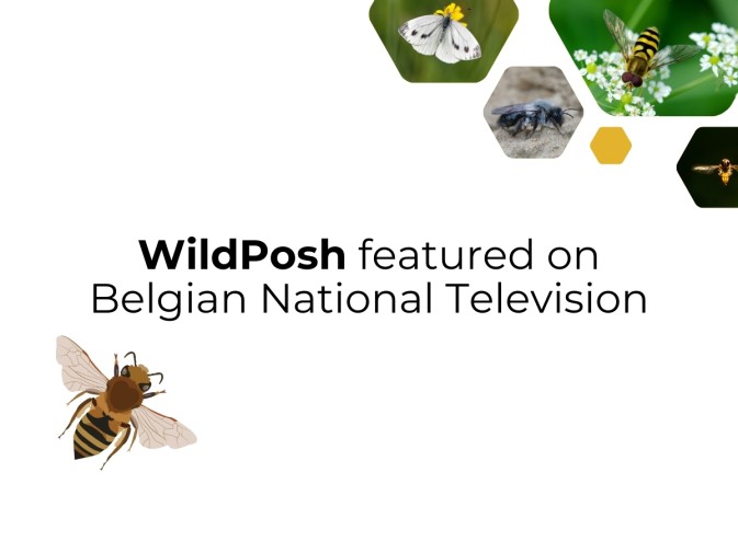WildPosh coordinator presents the project on Belgian national television