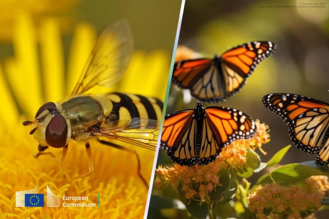 WildPosh featured in REA article on safeguarding pollinators