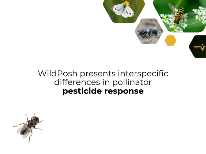 WildPosh research presented at XI Jornadas Doctorales 2026