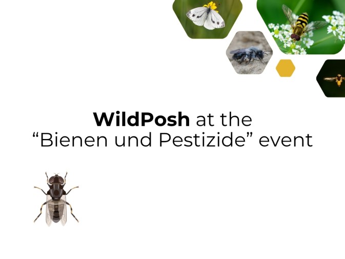 WildPosh research insights at “Bienen und Pestizide” Forum