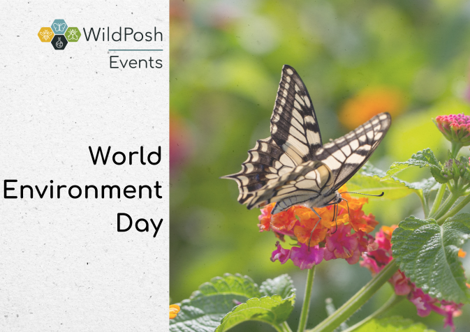 World Environment Day