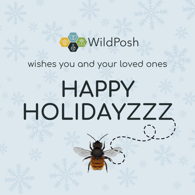Warm holiday wishes from Wildposh