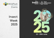 Insect Week 2025