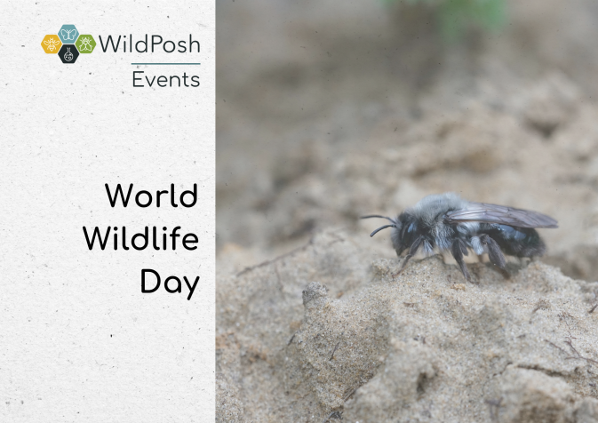 World Wildlife Day