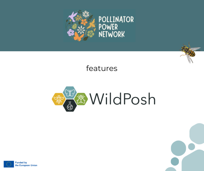 Pollinator Power Network features WildPosh