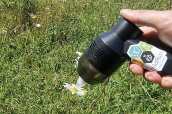 Field work: Summer plans of WildPosh