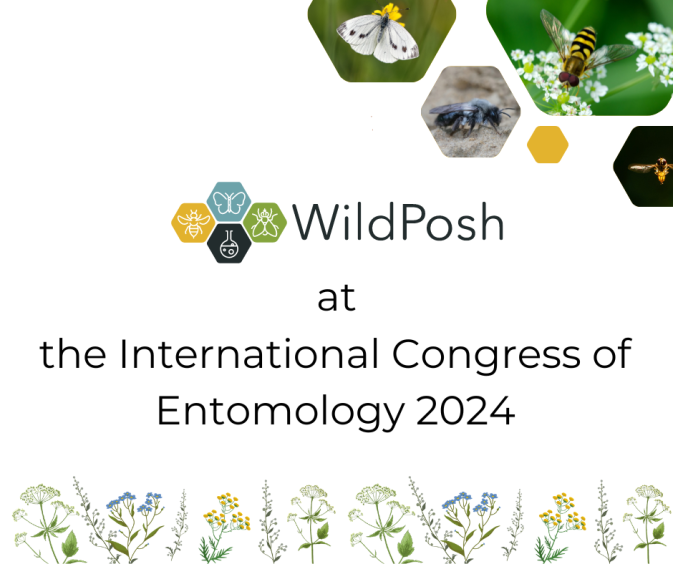 WildPosh partners spotted at the 27th International Congress of Entomology