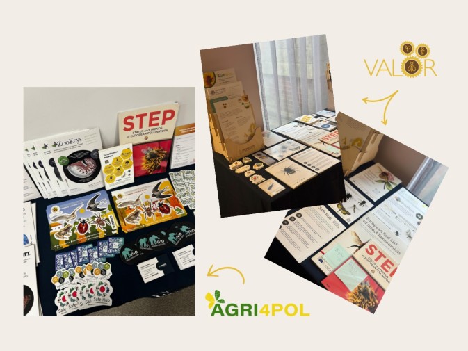 WildPosh Travels: Project materials showcased at multiple kick-off meetings