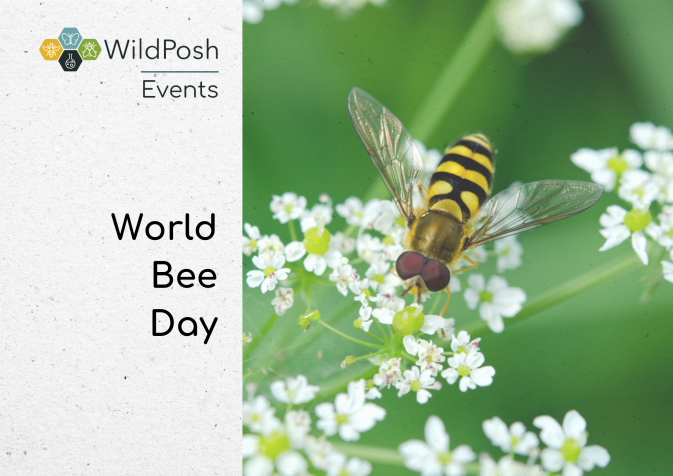 World Bee Day