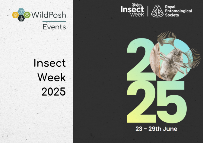 Insect Week 2025