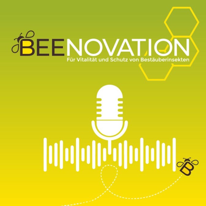 Sharing WildPosh's mission: Beenovation’s latest podcast episode