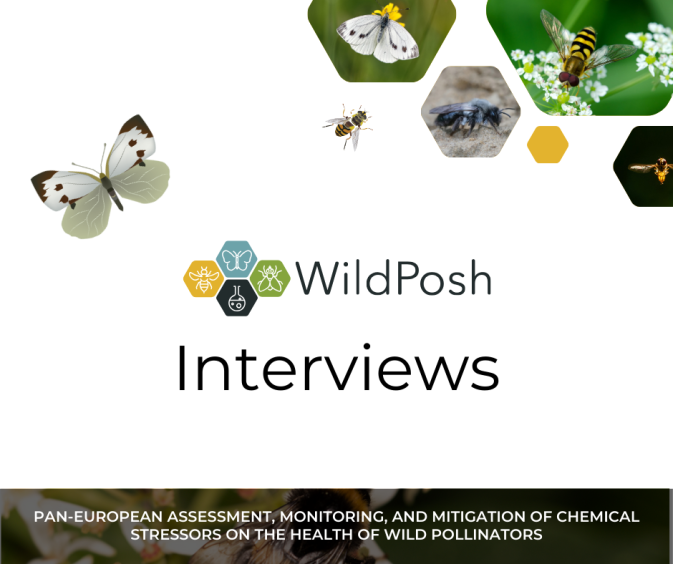 #WildPoshInterviews: New social media campaign featuring insights from WildPosh partners