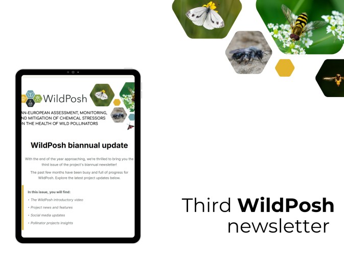 WildPosh newsletter showcases recent project progress and insights