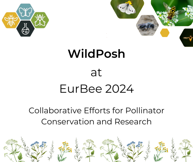 WildPosh at EurBee 2024: Collaborative Efforts for Pollinator Conservation and Research