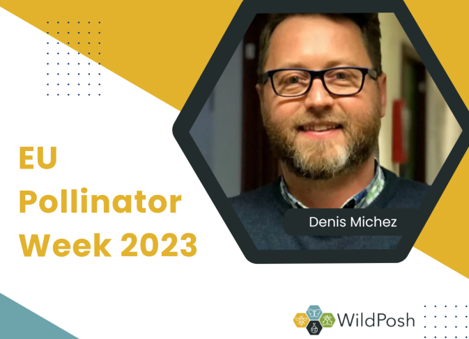 WildPosh Partners at EU Pollinator Week