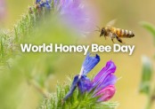 World Honey Bee Day 2026