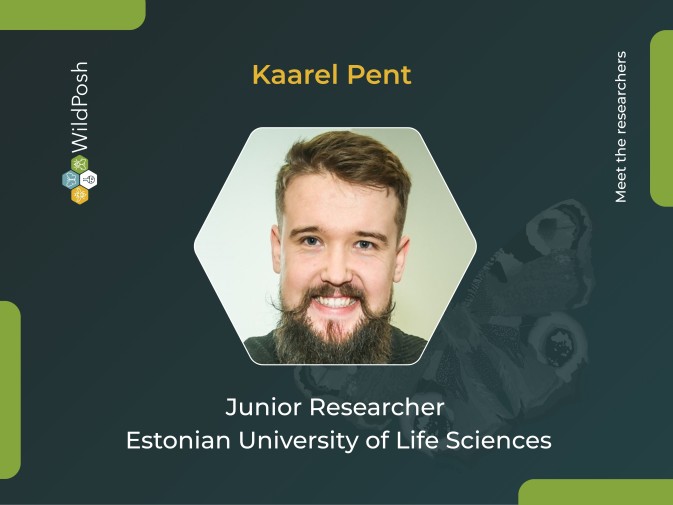 Meet the researchers: Kaarel Pent
