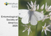 Entomology 2025