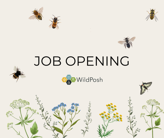 Open position for Data Scientist