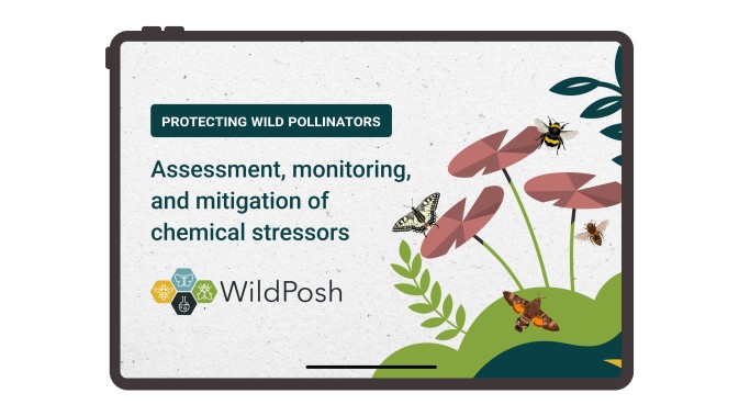 WildPosh releases animated intro video