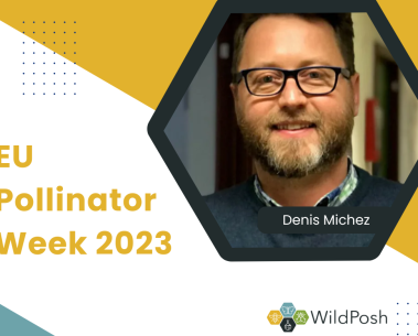 WildPosh Partners at EU Pollinator Week