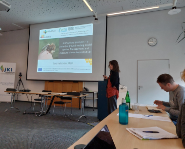 WildPosh’s first public appearance: Insights from the BeesUp symposium