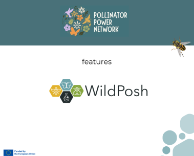 Pollinator Power Network features WildPosh