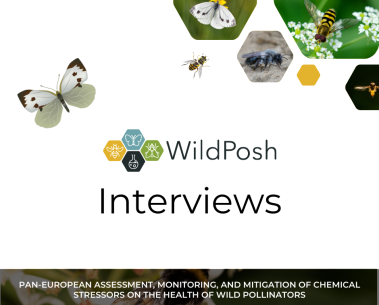 #WildPoshInterviews: New social media campaign featuring insights from WildPosh partners