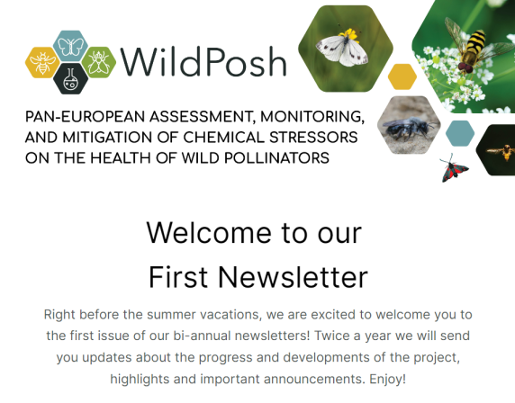 July 2024 newsletter cover