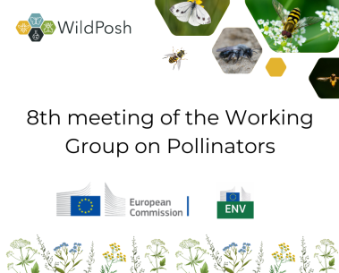 WildPosh at the 8th meeting of the Working Group on Pollinators