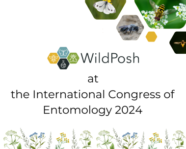 WildPosh partners spotted at the 27th International Congress of Entomology