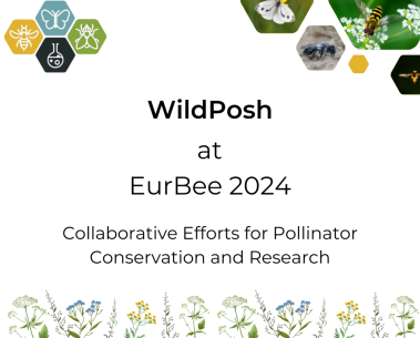 WildPosh at EurBee 2024: Collaborative Efforts for Pollinator Conservation and Research