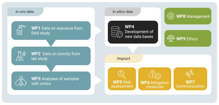 Work package organisation infographic