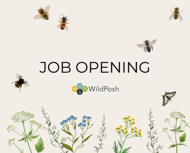 Open position for Data Scientist