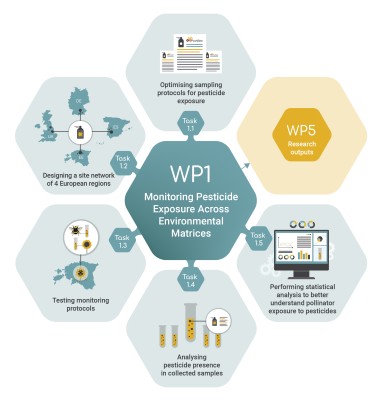 Work package 1 infographic