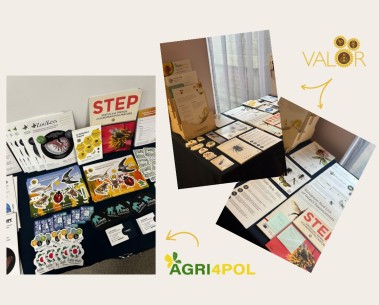 WildPosh Travels: Project materials showcased at multiple kick-off meetings