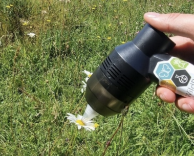 Field work: Summer plans of WildPosh