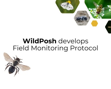 How is WildPosh monitoring pesticide exposure in the field?