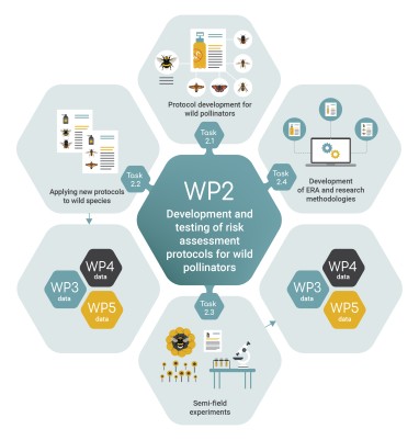 Work package 2 infographic