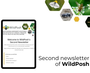 This spring brings the second issue of WildPosh’s newsletter