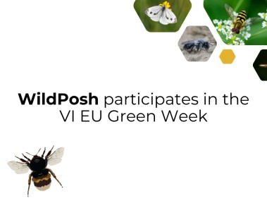 WildPosh presents WP2 research at VI EU Green Week
